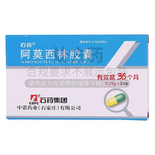 石药 阿莫西林胶囊 0.25g*24粒/盒 正品保证