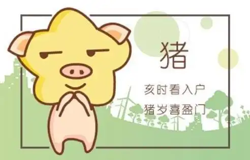 1995年五行属什么