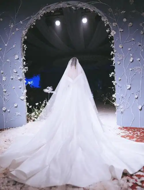 张馨予婚纱背影照不久后,张馨予的个人婚纱照也曝出多张,身穿白色婚纱