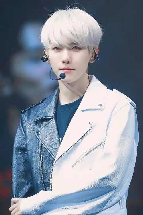 exo边伯贤高清壁纸