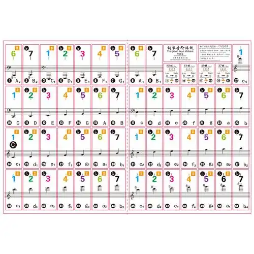 钢琴电子琴贴纸初学自学手卷五线谱通用琴键电源