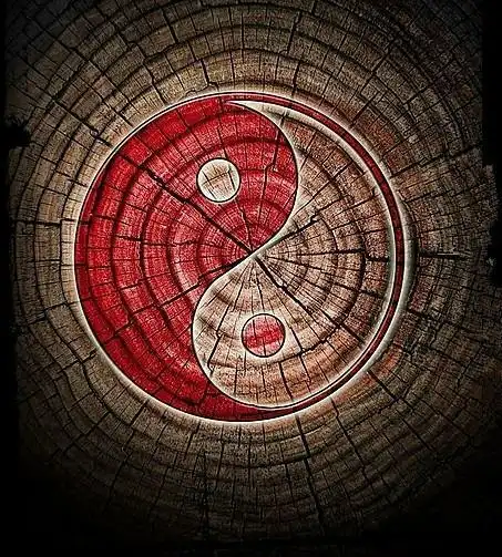 自然太极功共修 苏州周日上午班 03/18