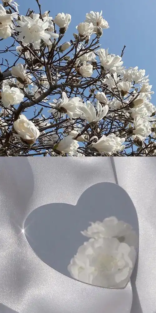 【手机壁纸】 拼接壁纸 by初见你497