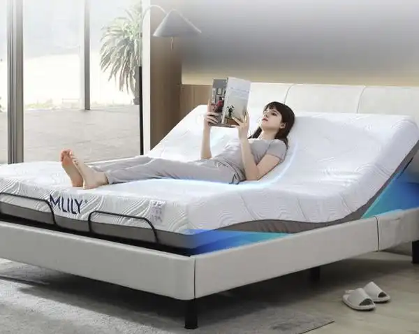 小编精选mlily梦百合0压智能床152m