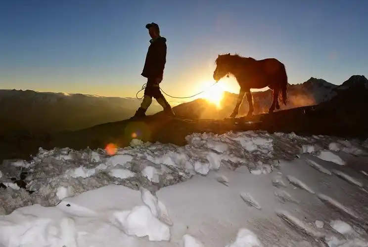 陈日洪夕阳下山马归栏