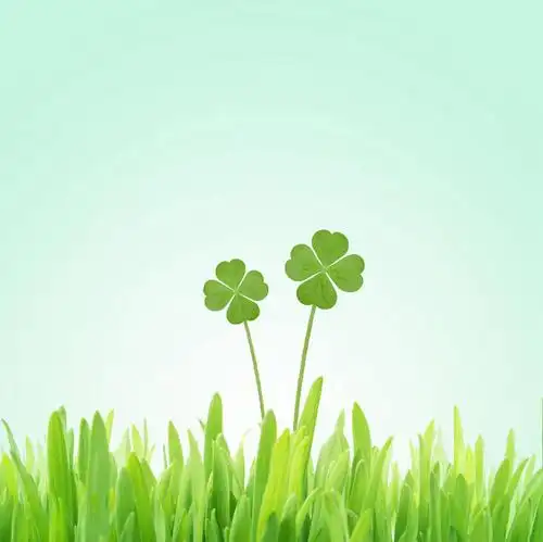 正面,自由,数码,科技,草地,草坪,植物,绿色背景,阴影,网络,四叶草