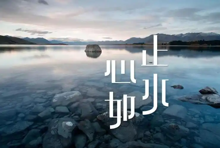 一天一个成语心如止水感情伤太深难以爱上其他人都是夜归人