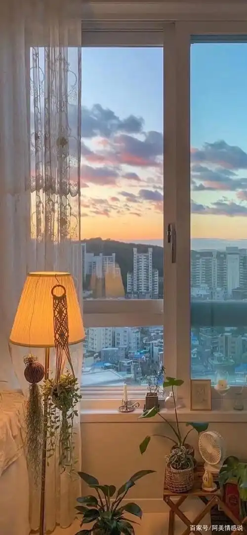 让人心动的唯美爱情语录,句句发自肺腑,越看越喜欢