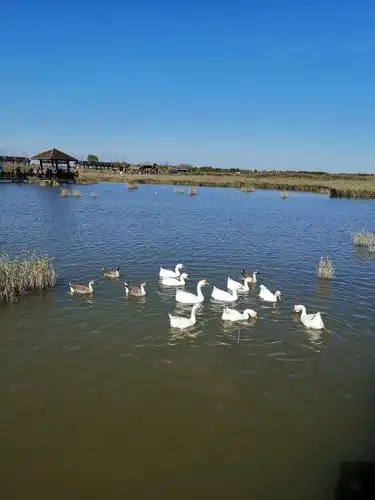 【携程攻略】黄骅南大港湿地景点,这个湿地比较大但可玩的并不多,主要