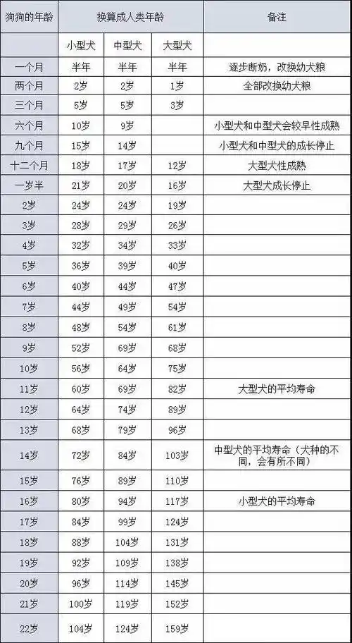 怎么看狗的年龄狗的年龄和人的年龄段