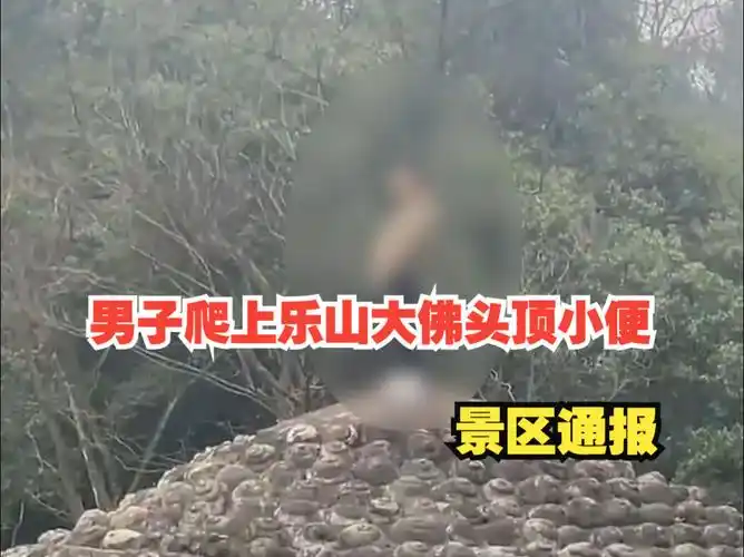 男子爬上乐山大佛头顶小便,景区通报:该男子处于精神病发病状态