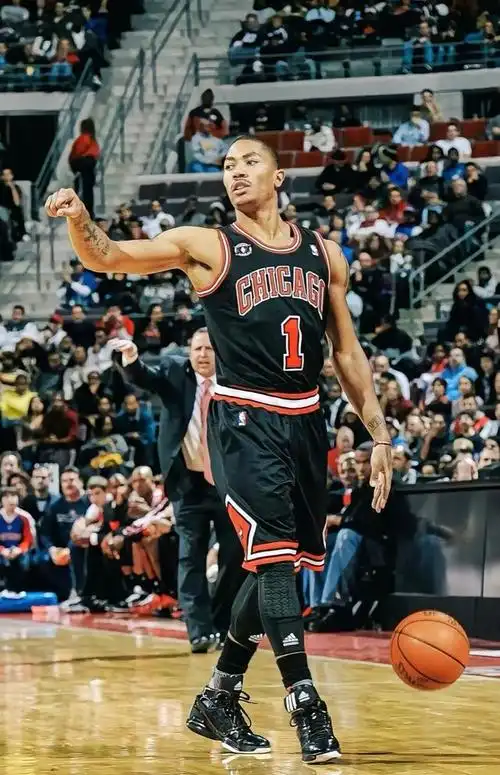 风城玫瑰-德里克·罗斯