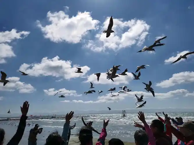 南疆行博斯腾湖(金沙滩) 国家4a景区,景色真棒919191 - 抖音