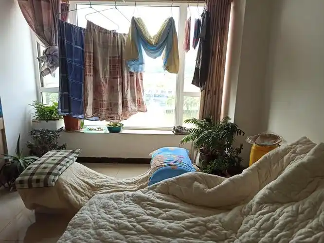 今天发神经七点多快到八点起来,热了个剩的粥,等