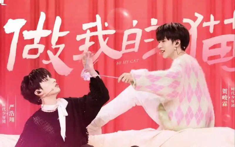【翔霖】《做我的猫》严浩翔x贺峻霖cover双人舞台1080p高清修复剪辑