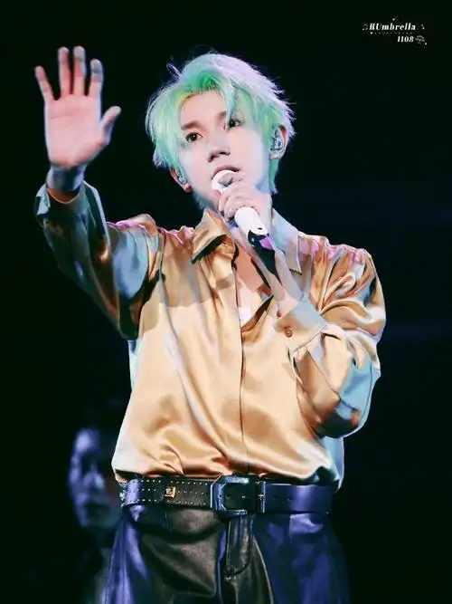 王源客厅狂欢巡演##王源染了绿发