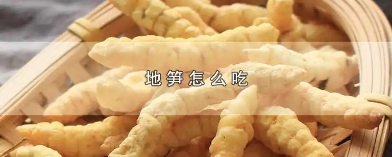 地笋的食用方法
