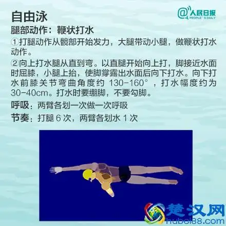 怎么学游泳最快(10分钟学会游泳的方法)