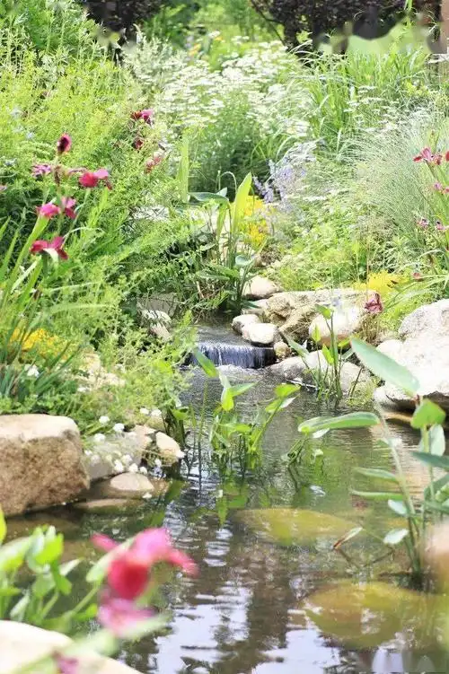 【湿地花园及 溪鸟天堂】