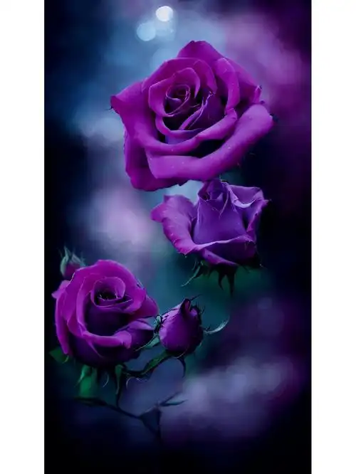 纵然玫瑰零落成泥,我也愿意用一生守候紫色玫瑰花壁纸紫色玫瑰手机壳