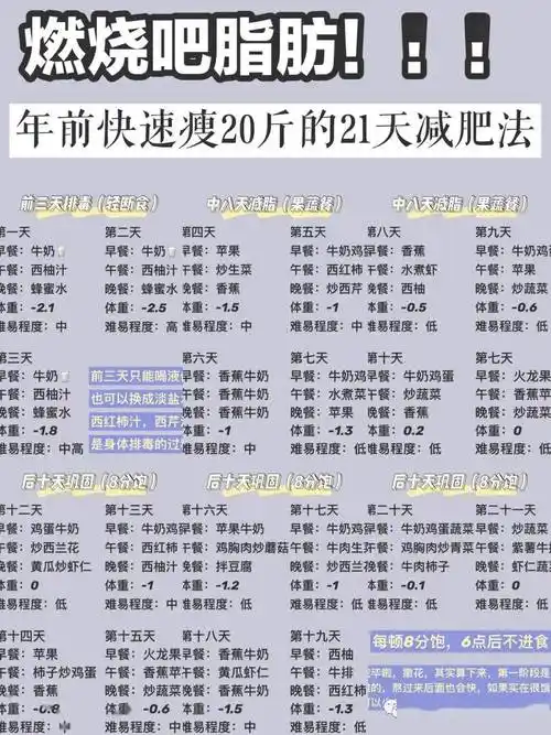 年前快速爆瘦20斤的21天减肥法附详细食谱
