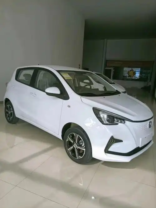 长安新能源现车一辆