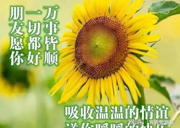 春季清早问候大家早上好的漂亮祝福图片早上好问候语祝福短信