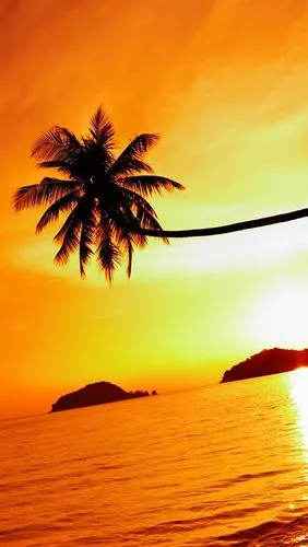 热带海滩的日落,麦岛,泰国 750x1334 iphone 8/7/6/6s 壁纸,图片,背景