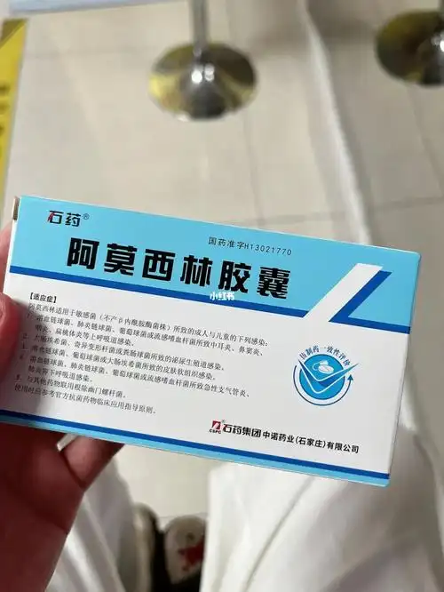 因为上午拔牙了,家里上次买的消炎药吃完了,告知店员买阿莫西林,上来