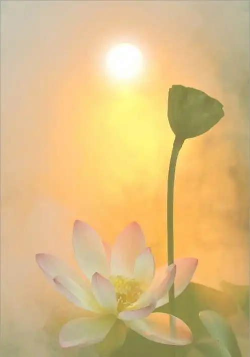 一方一净土一笑一尘缘一念一清净心是莲花开