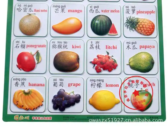 【认识水果 正品乖宝宝学习挂图凹凸版 婴幼儿