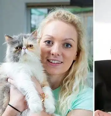 波斯猫怎么样为什么国内养的人这么少呢