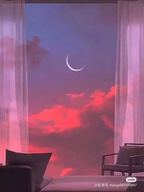 投影仪拍照背景图