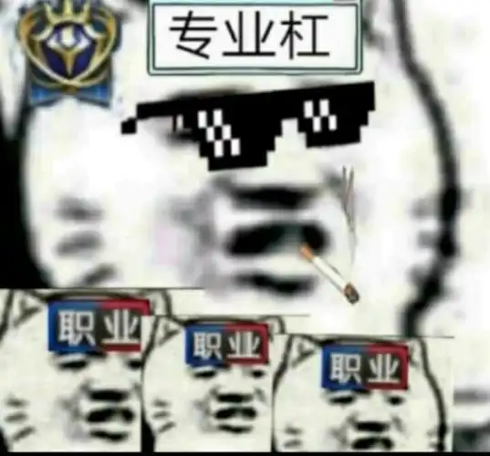 专业杠,职业职业职业杠精表情包