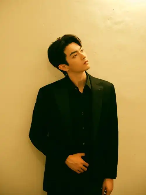 「没有大学学历」的陆剧明星2:许凯