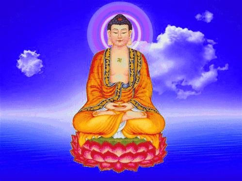 900_674gif 动态图 动图