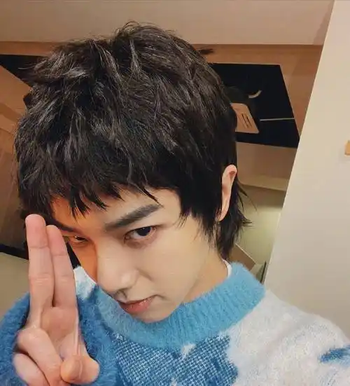 华晨宇公开寸头自拍照,他的底气从何而来_发型_造型_节目