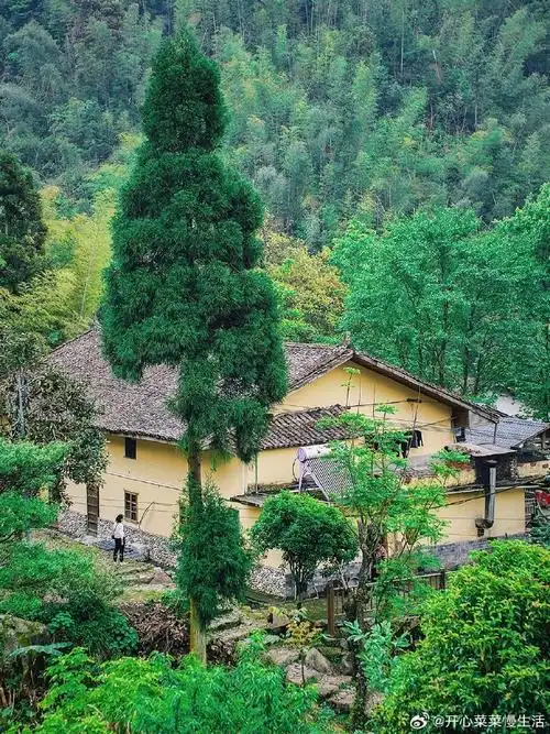 去明月山看花花世界##五一去明月山放肆撒野##带着微博去旅行