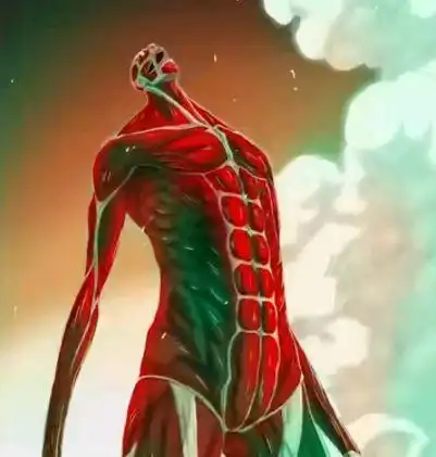 全身肌肉都暴露在外,有点像课本上画的骨骼肌肉示意图,但是超大巨人头