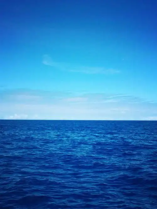 沉醉于甜蜜的蓝海中 尽情享受"蓝色鸦片"