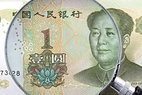 放大镜下的一元人民币