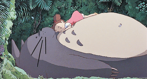 500_268gif 动态图 动图