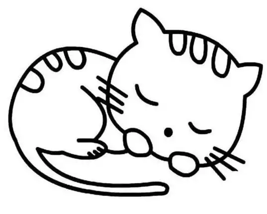 猫咪睡觉的的简笔画