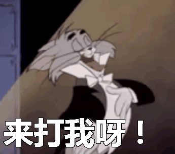来打我呀gif猫和老鼠gif打我呀gif