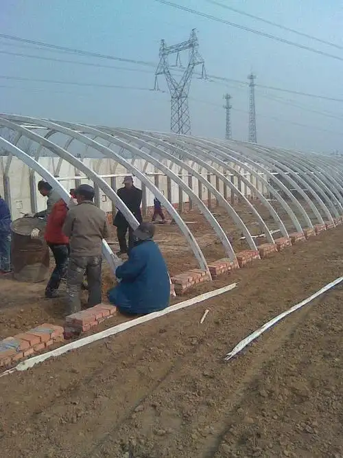 河北石家庄温室大棚|专业温室大棚搭建|石家庄温室大棚安装