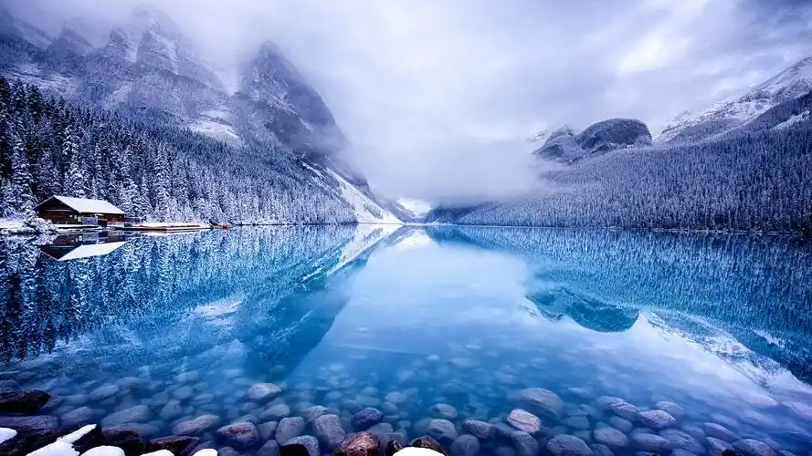 中国平安网络车险(平安网上车险如何买?