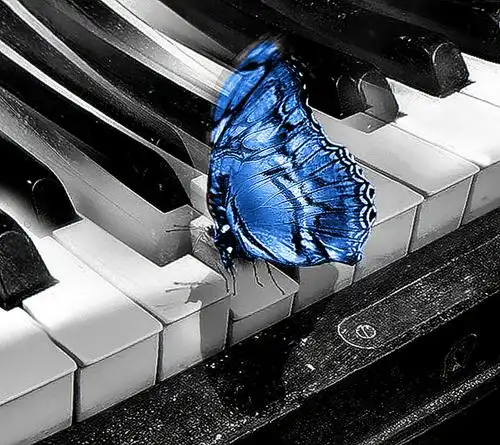 「音乐趣图」 唯美的钢琴