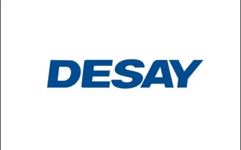 每天了解一家上市公司406:德赛电池