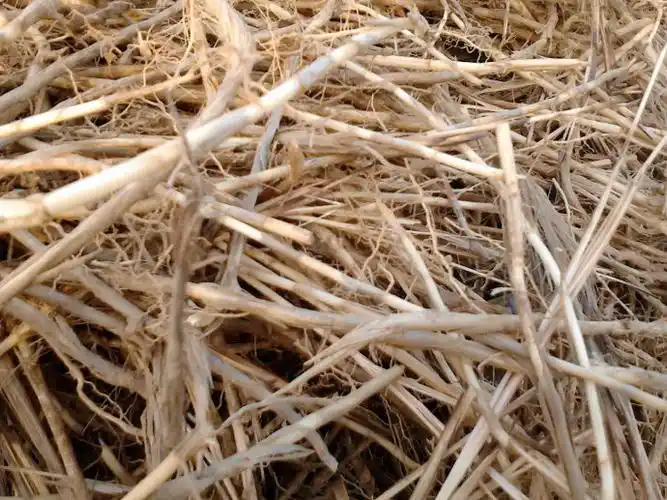 经过几十年验证的浦东土方子值得你收藏