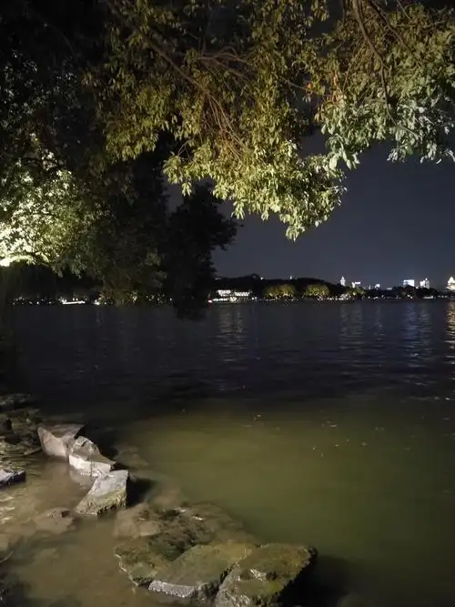 西湖 夜色